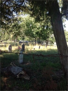 Richard Williams / Carroll Cemetery near Willis, TX. Richard Williams (1808-1876) was my great-great grandfather.  One of the headstones is for his daughter, Lelia Jacinto Williams, and is believed to be the oldest legible headstone in Montgomery County, TX